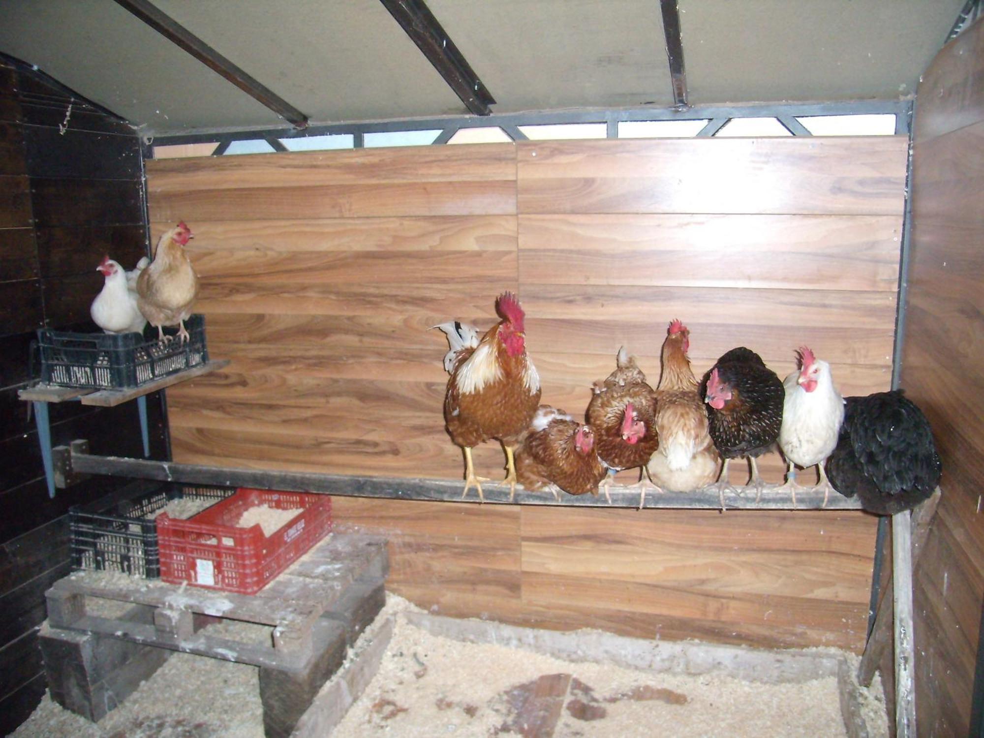 Casa Rural Basajarau Yosa de Sobremonte Εξωτερικό φωτογραφία