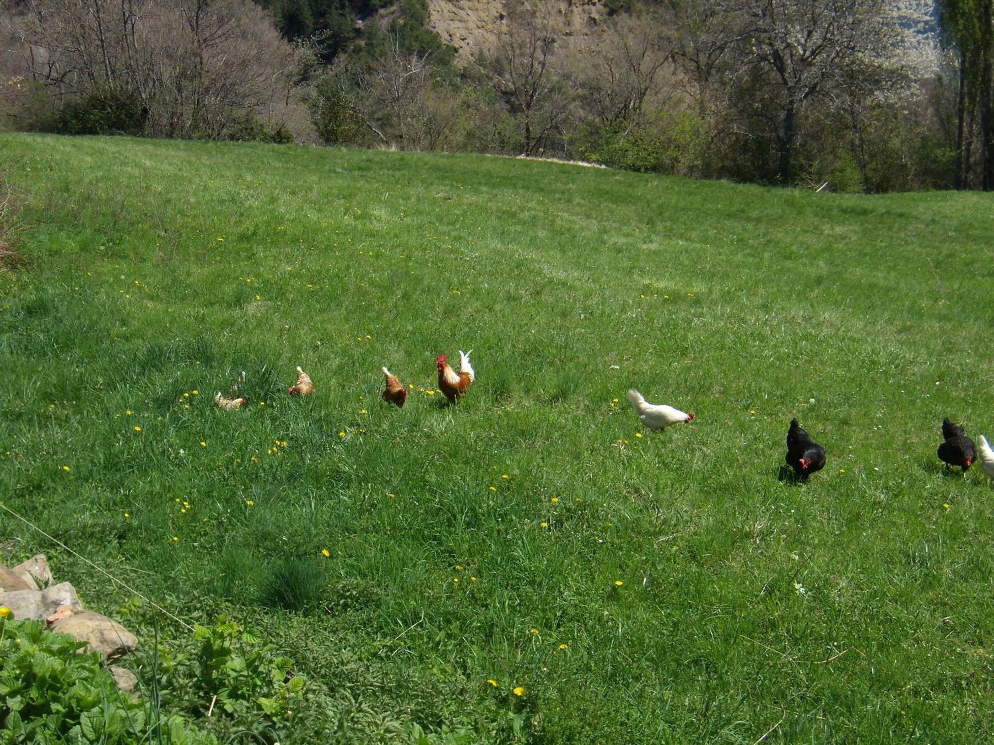 Casa Rural Basajarau Yosa de Sobremonte Εξωτερικό φωτογραφία