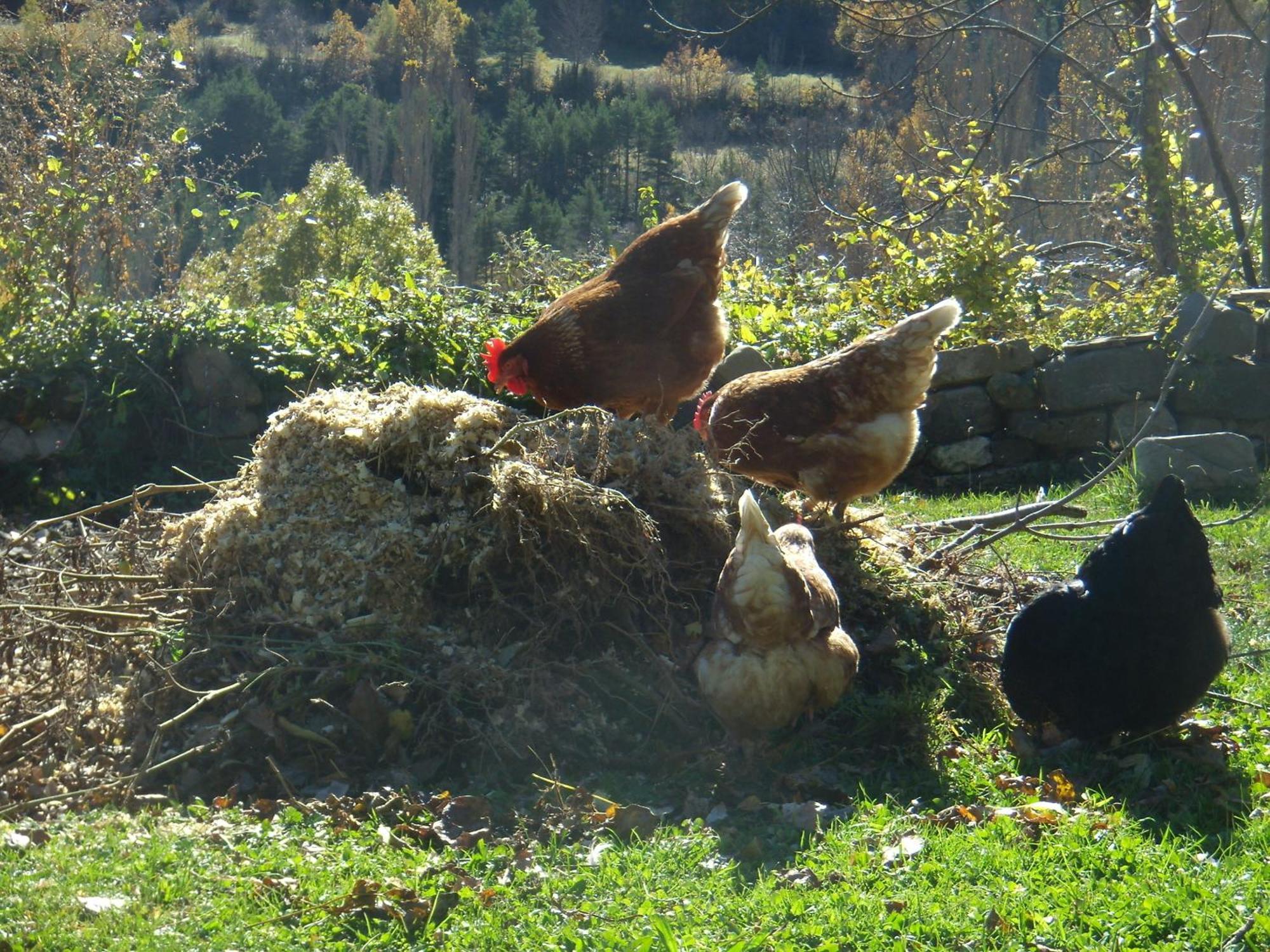 Casa Rural Basajarau Yosa de Sobremonte Εξωτερικό φωτογραφία